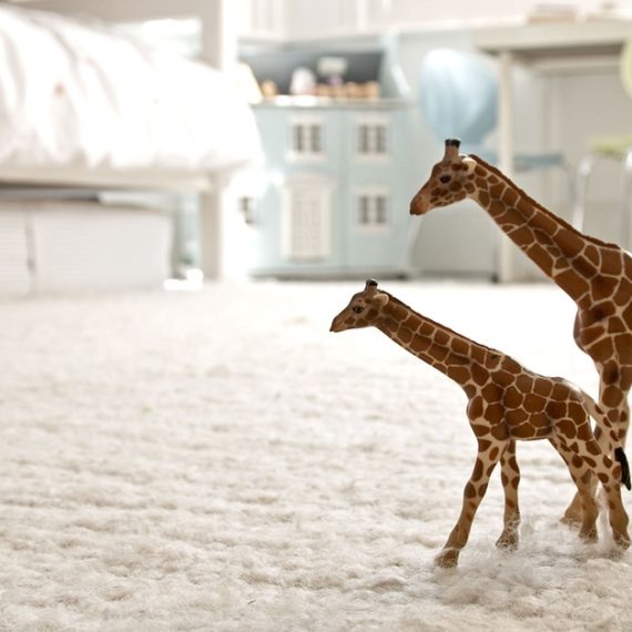 Carpet Cleaning E K A Y Laundry LLC Dubai UAE