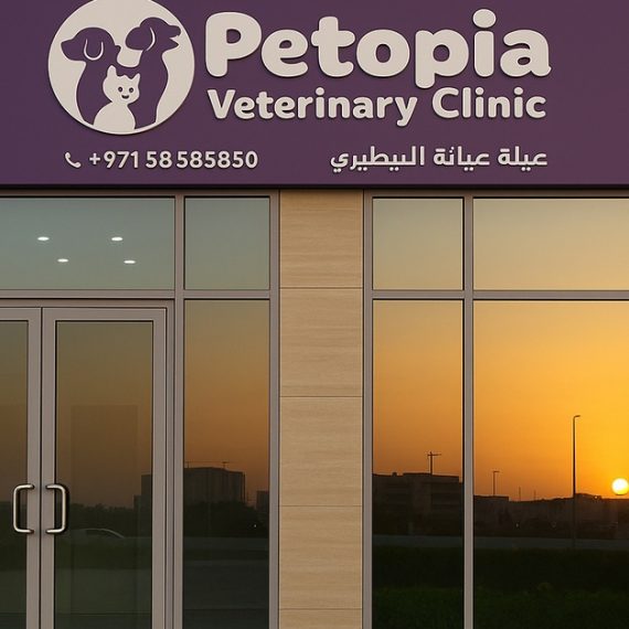 Comprehensive Pet Grooming For Cats And Dogs Up To 40 Kg Petopia Veterinary Clinic Dubai UAE