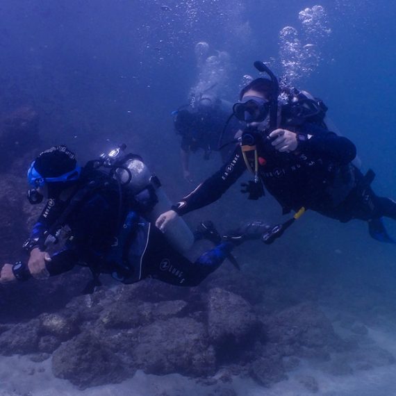 Experience Scuba Diving With Pool And Beach Dives! Al Boom Diving Dubai UAE