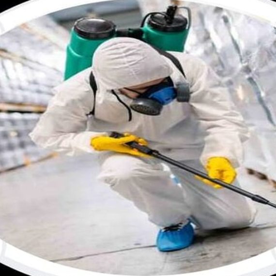 Pest Control Service - General Royal Urban Cleaning Services Dubai UAE