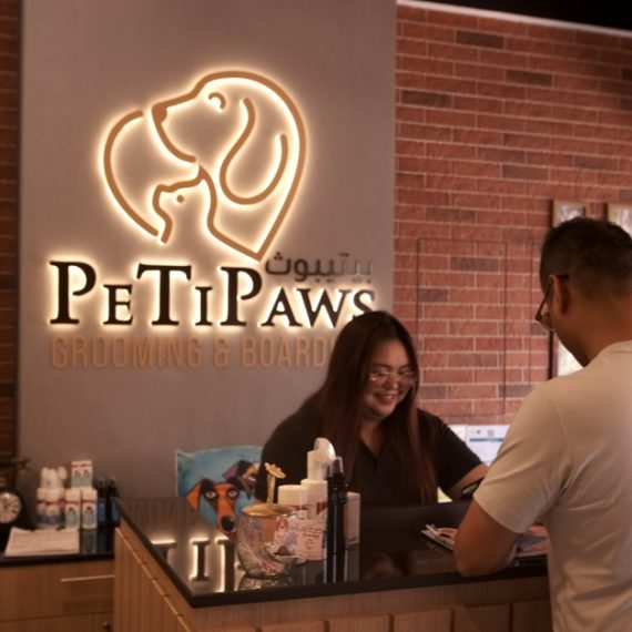 Small/Medium/Large Dog Basic Or Dry Grooming For Cat PeTiPaws Grooming & Boarding Dubai UAE
