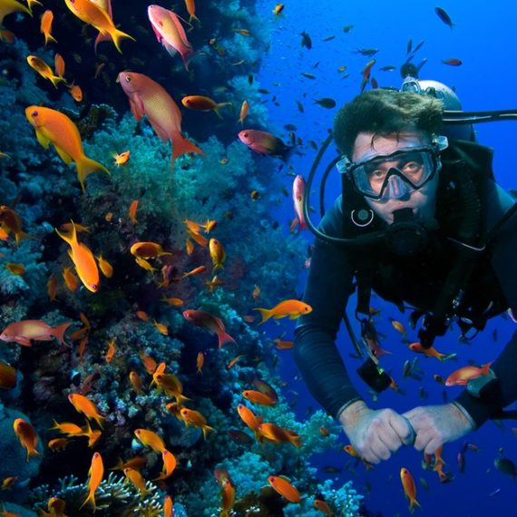 Snorkeling Or Scuba Diving Experience At Al Boom Diving Al Boom Diving Dubai UAE