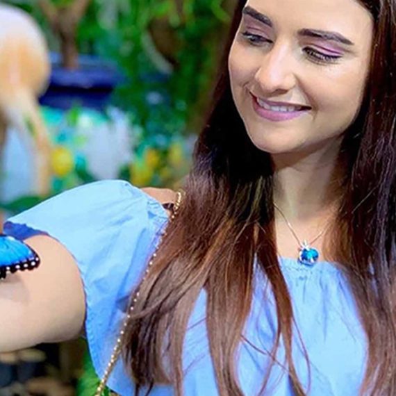 Explore Dubais Butterfly Garden With Pass For One