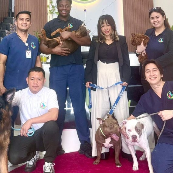 Pawfect Makeover: Basic & Full Pet Grooming For Cats And Dogs FANCY & FURRY PETS CARE LLC Dubai UAE