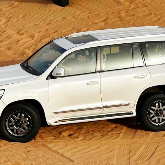 Tour - Guided Star Wolf Travel And Tourism Dubai UAE