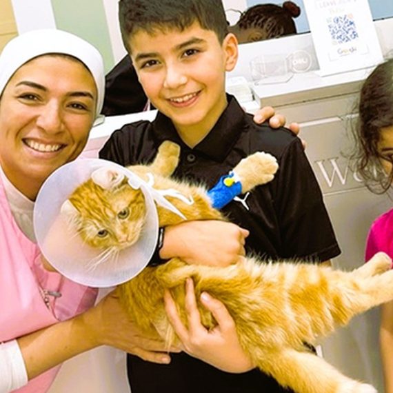 Buy Cat Or Dog Consultation, Deworming, And Optional Annual Vaccine Now at Special Price in QatarMegaDeals.com Cat Or Dog Consultation