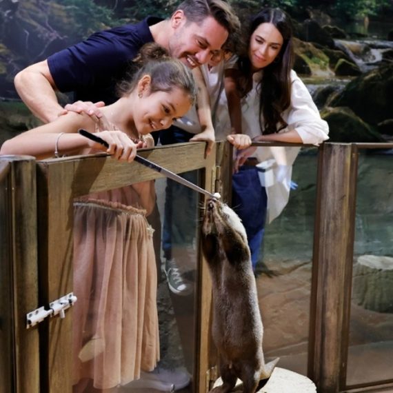 Buy Double The Fun: Dubai Aquarium W Penguin Cove + Choice Of Attraction Now at Special Price in QatarMegaDeals.com Double The Fun: Dubai Aquarium W Penguin Cove + Choice Of Attraction Peace Land Travel and Tourism Dubai UAE