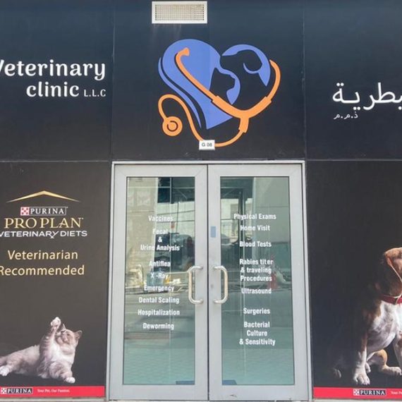 Pet - Grooming Salon Petbook veterinary clinic Dubai UAE