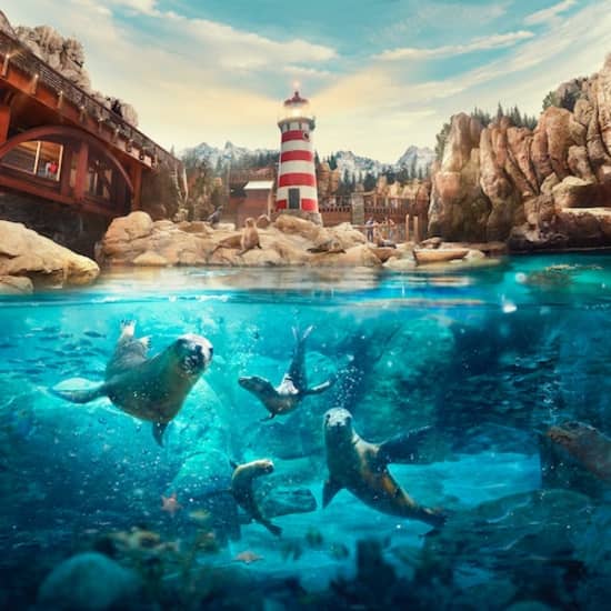 SeaWorld Abu Dhabi at SeaWorld Yas Island