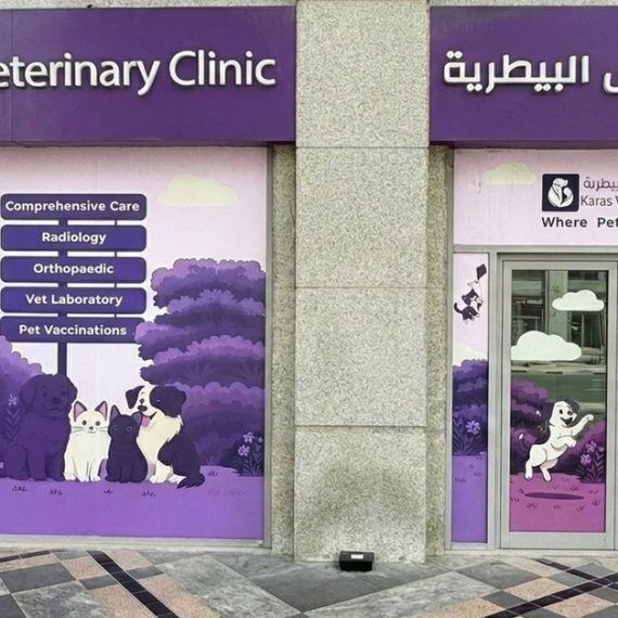Basic Or Full Grooming For Small Or Medium Dog