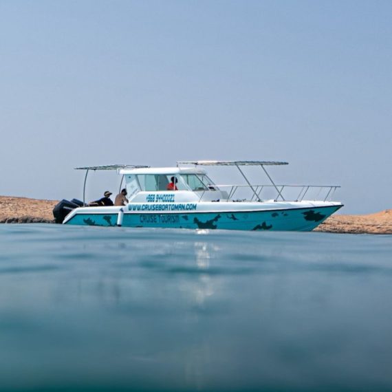 Daymaniyat Island Private Trip Recently Added Experiences