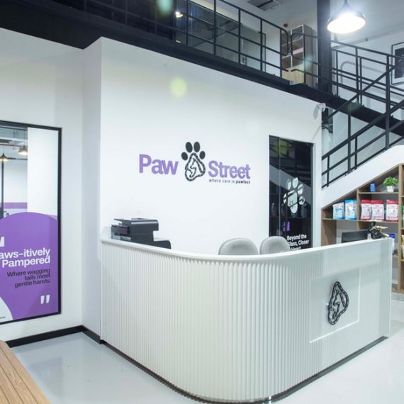 Professional Dog & Cat Grooming For All Sizes Paw Street Dubai UAE