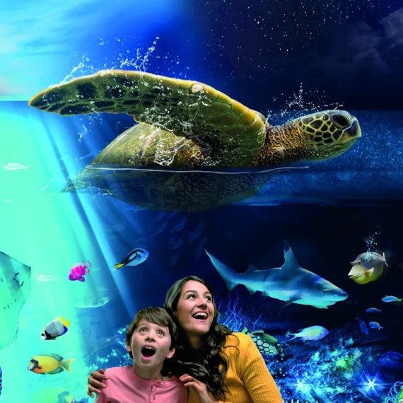 Sea Life Brighton Experiences