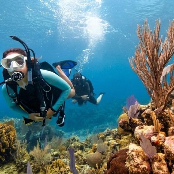 Shore Dive To Snoopy Islands Thriving Reef In Fujairah Marine Park Sandy Beach Dive Academy Sharjah & N. Emirates UAE