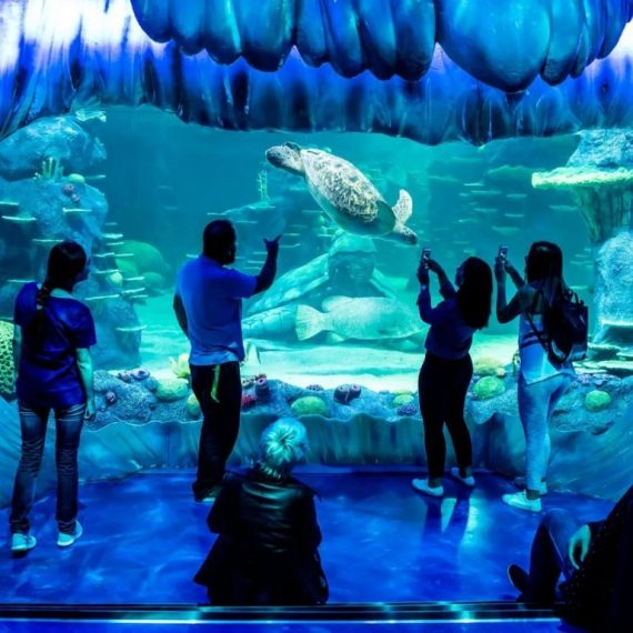 Aquarium de Paris: Entry Ticket Indoor Attractions