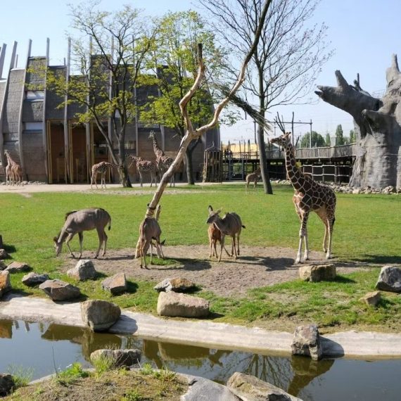 Blijdorp Rotterdam Zoo: Skip The Line Ticket Indoor Attractions
