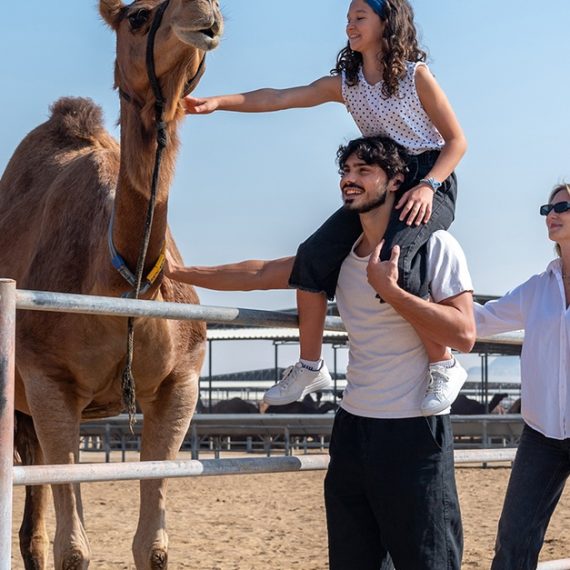 Camelicious Farm And Factory Tour With Camel Milk Tasting Camelicious Dubai UAE