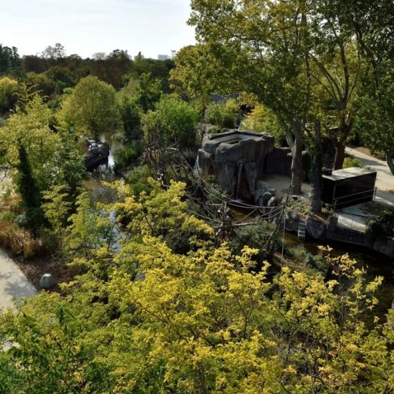 Paris Zoological Park: Entry Ticket Experiences
